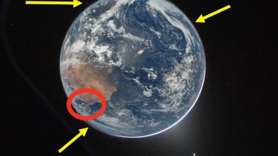 People Spotted 4 Amaaazing Things In The First Artemis II Pictures Of Earth People Spotted 4 Amaaazing Things In The First Artemis II Pictures Of Earth