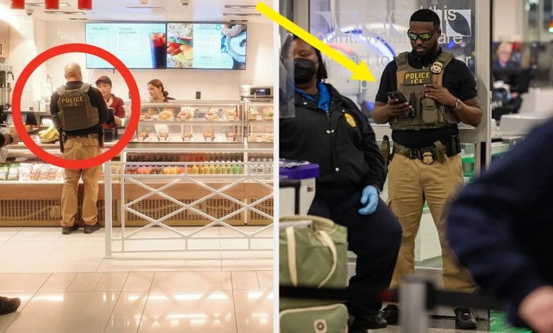 These Photos Showing What ICE Agents Are Doing In Airports Might Surprise You These Photos Showing What ICE Agents Are Doing In Airports Might Surprise You