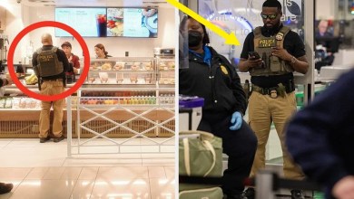 These Photos Showing What ICE Agents Are Doing In Airports Might Surprise You These Photos Showing What ICE Agents Are Doing In Airports Might Surprise You