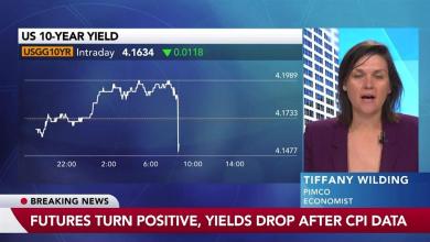 Fed Is Comfortable Pausing Here, Pimco's Wilding Says Fed Is Comfortable Pausing Here, Pimco's Wilding Says