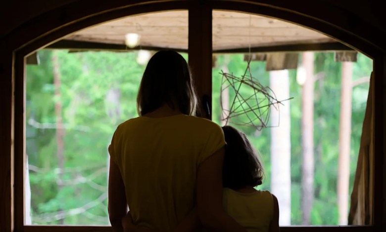 ‘They must be used to people’ ‘They must be used to people’