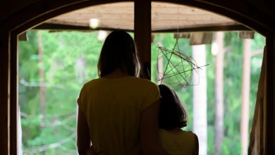 ‘They must be used to people’ ‘They must be used to people’