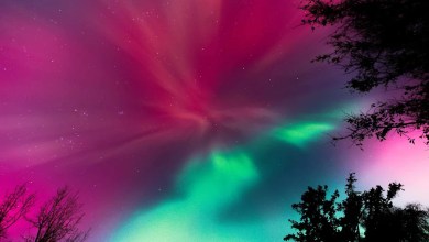 How to Watch an Illuminating Display of Northern Lights from These States Tonight How to Watch an Illuminating Display of Northern Lights from These States Tonight