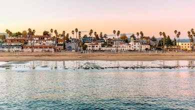 ‘They’re useless and they’re everywhere’ ‘They’re useless and they’re everywhere’