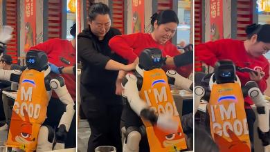 Robot Goes Berserk in California Restaurant, Dragged Away by Staff After Smashing Tableware Robot Goes Berserk in California Restaurant, Dragged Away by Staff After Smashing Tableware