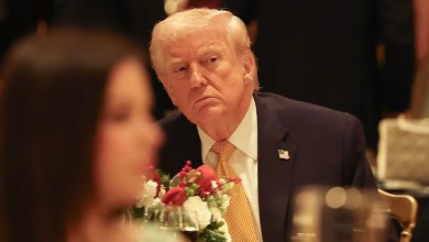 Lonely Trump, 79, Endures Awkward Christmas Eve Dinner Lonely Trump, 79, Endures Awkward Christmas Eve Dinner