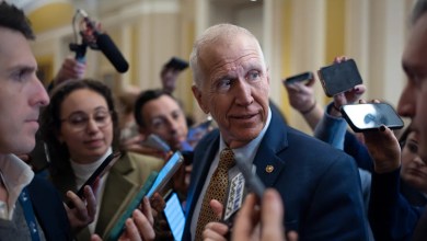 Republicans fear their midterm chances are slipping away over immigration chaos Republicans fear their midterm chances are slipping away over immigration chaos