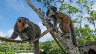 Naples landmark again made USA Today’s 10BEST Naples landmark again made USA Today’s 10BEST