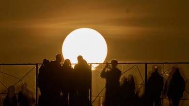 Moscow businesses struggle as Russia restricts cellphone internet services Moscow businesses struggle as Russia restricts cellphone internet services