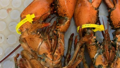 Cape Cod Times top stories Cape Cod Times top stories