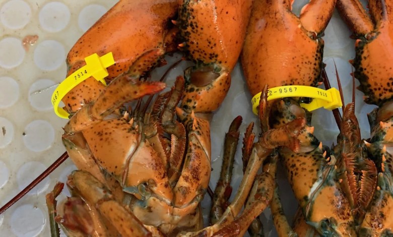 Cape Cod Times top stories Cape Cod Times top stories