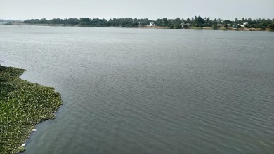 Officials celebrate as key reservoir fills up for first time in years — here’s what’s happening Officials celebrate as key reservoir fills up for first time in years — here’s what’s happening