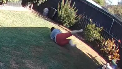 ‘It will take her a while to get over this experience’ ‘It will take her a while to get over this experience’