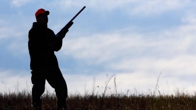 Texas to see changes in dates, regulations for 2025-26 hunting season. Here’s what to know Texas to see changes in dates, regulations for 2025-26 hunting season. Here’s what to know