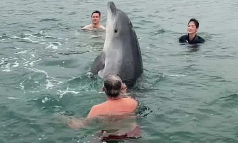 ‘He doesn’t really know the harm he could be doing’ ‘He doesn’t really know the harm he could be doing’