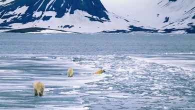 ‘We were off by 90 degrees’ ‘We were off by 90 degrees’