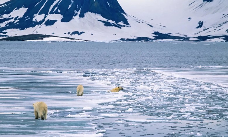 ‘We were off by 90 degrees’ ‘We were off by 90 degrees’