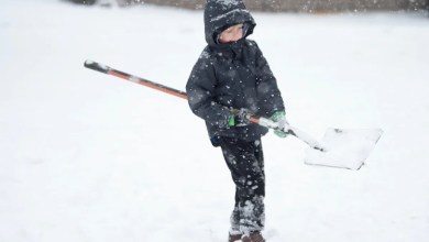 ‘Significant’ snow could be coming to East Tennessee: See predictions ‘Significant’ snow could be coming to East Tennessee: See predictions