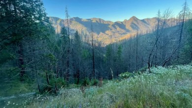 ‘They’re doing me a favor’ ‘They’re doing me a favor’