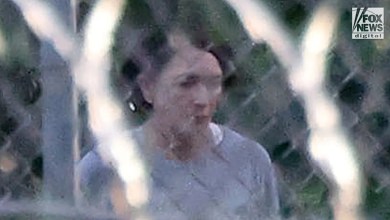 Ghislaine Maxwell follows prison fitness routine, video shows, as DOJ’s Jeffrey Epstein memo draws heat Ghislaine Maxwell follows prison fitness routine, video shows, as DOJ’s Jeffrey Epstein memo draws heat