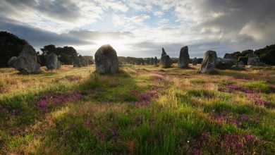 Entire Human Populations Vanished 3,000 Years Ago. Scientists Figured Out Where They Went. Entire Human Populations Vanished 3,000 Years Ago. Scientists Figured Out Where They Went.