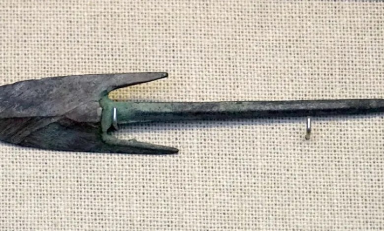 Archeologists Uncovered Evidence of a 2,000-Year-Old Machine Gun—and the Damage It Did Archeologists Uncovered Evidence of a 2,000-Year-Old Machine Gun—and the Damage It Did