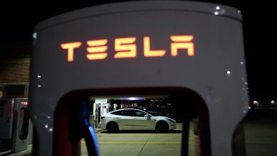 Magnificent 7 stocks are splitting again: Chart of the Day Magnificent 7 stocks are splitting again: Chart of the Day