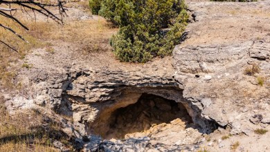 Expert captures stunning footage after leaving camera in US cave for 10 years: ‘That is beyond awesome’ Expert captures stunning footage after leaving camera in US cave for 10 years: ‘That is beyond awesome’