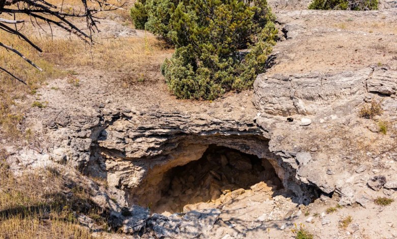 Expert captures stunning footage after leaving camera in US cave for 10 years: ‘That is beyond awesome’ Expert captures stunning footage after leaving camera in US cave for 10 years: ‘That is beyond awesome’