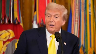 Trump executive order gives politicians control over all federal grants, alarming researchers Trump executive order gives politicians control over all federal grants, alarming researchers