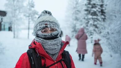 Thousands of tourists stranded in northern Finland as deep freeze halts flights Thousands of tourists stranded in northern Finland as deep freeze halts flights