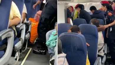 Passenger Forcibly Dragged Off Plane by Arms and Belt After Alleged Tantrum Over Changing Seats Passenger Forcibly Dragged Off Plane by Arms and Belt After Alleged Tantrum Over Changing Seats