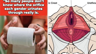 Doctors Are Sharing The One Thing They Wish Everyone Knew About Their Body, And People Are Shocked At How Uneducated They Are About Themselves Doctors Are Sharing The One Thing They Wish Everyone Knew About Their Body, And People Are Shocked At How Uneducated They Are About Themselves