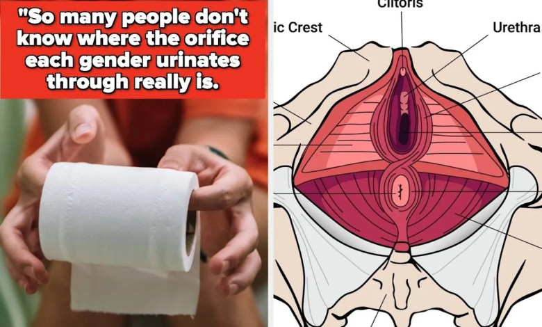 Doctors Are Sharing The One Thing They Wish Everyone Knew About Their Body, And People Are Shocked At How Uneducated They Are About Themselves Doctors Are Sharing The One Thing They Wish Everyone Knew About Their Body, And People Are Shocked At How Uneducated They Are About Themselves