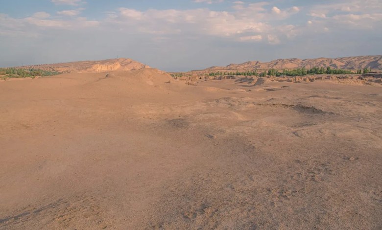 ‘Sandy and mostly devoid of life’ ‘Sandy and mostly devoid of life’