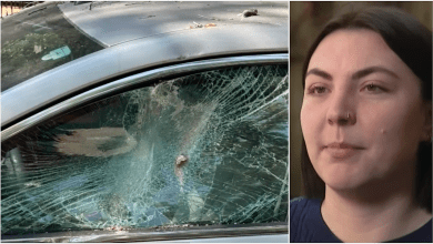 Chicago woman says it’s “crazy” city won’t pay for damage after 300 lb. pole hit her car. Why suing City Hall is so hard Chicago woman says it’s “crazy” city won’t pay for damage after 300 lb. pole hit her car. Why suing City Hall is so hard
