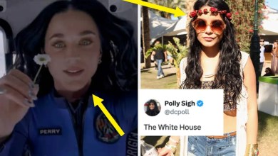 People Are Calling Out Things That Got Worse And Turned Into Rich People Hobbies People Are Calling Out Things That Got Worse And Turned Into Rich People Hobbies