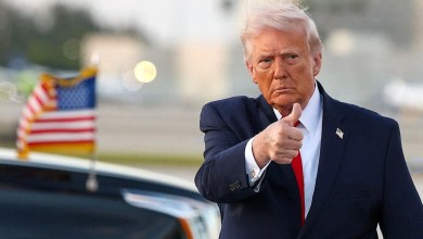 Trump urged to declare ‘American’ the official US language ahead of 250th anniversary Trump urged to declare ‘American’ the official US language ahead of 250th anniversary