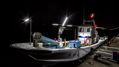 Authorities discover illegal cargo in suspicious coolers Authorities discover illegal cargo in suspicious coolers