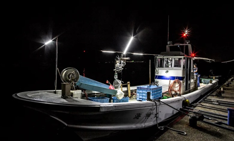 Authorities discover illegal cargo in suspicious coolers Authorities discover illegal cargo in suspicious coolers
