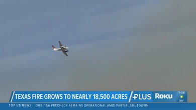 Lavender Fire, 8 Ball Fire now 100% contained Lavender Fire, 8 Ball Fire now 100% contained