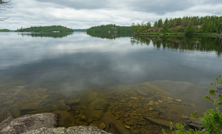 Officials issue warning after making disturbing discovery in US lake: ‘Infested’ Officials issue warning after making disturbing discovery in US lake: ‘Infested’