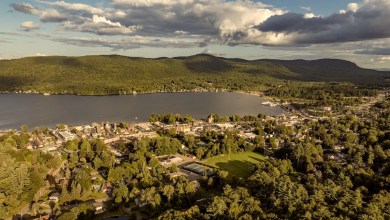 Experts issue warning after radar picks up huge swarm of bugs spreading across US region: ‘Moving southward’ Experts issue warning after radar picks up huge swarm of bugs spreading across US region: ‘Moving southward’