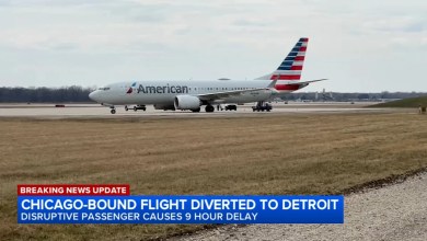 FBI responds after Chicago-bound American Airlines flight diverted to Detroit, officials say FBI responds after Chicago-bound American Airlines flight diverted to Detroit, officials say
