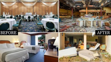 Abandoned Disney Resort Becomes a Playground for Criminals and Graffiti Artists After Being Left To Crumble: ‘There Are No Laws’ Abandoned Disney Resort Becomes a Playground for Criminals and Graffiti Artists After Being Left To Crumble: ‘There Are No Laws’