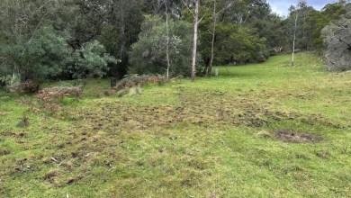 Frustrated landowner discovers alarming cause behind devastating property damage: ‘It’s heartbreaking to see’ Frustrated landowner discovers alarming cause behind devastating property damage: ‘It’s heartbreaking to see’