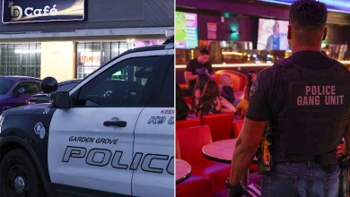 17 Arrested at California ‘Bikini Café’ Following Viral Video Describing Business as a ‘Strip Club’ 17 Arrested at California ‘Bikini Café’ Following Viral Video Describing Business as a ‘Strip Club’