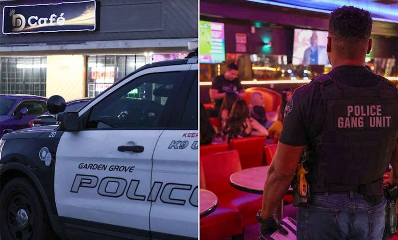 17 Arrested at California ‘Bikini Café’ Following Viral Video Describing Business as a ‘Strip Club’ 17 Arrested at California ‘Bikini Café’ Following Viral Video Describing Business as a ‘Strip Club’