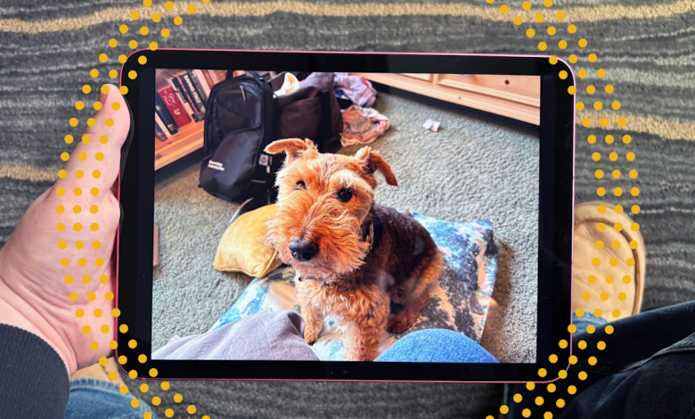 Quick! Apple’s latest iPad is a record-low 4 for Cyber Monday Quick! Apple’s latest iPad is a record-low 4 for Cyber Monday