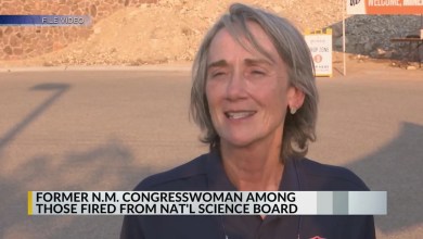 Trump administration fires entire National Science Board Trump administration fires entire National Science Board